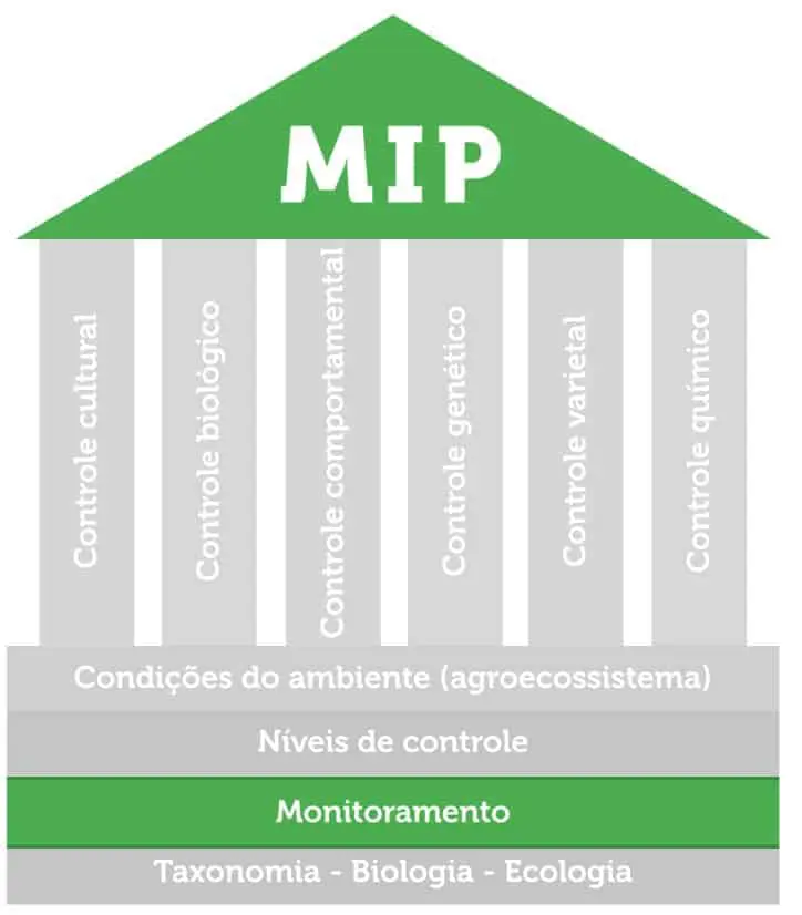 infográfico que representa o conceito de Manejo Integrado de Pragas (MIP) através da analogia de um templo ou e