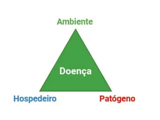o ‘Triângulo da Doença’, um modelo conceitual fundamental em fitopatologia que ilustra as três condições essen