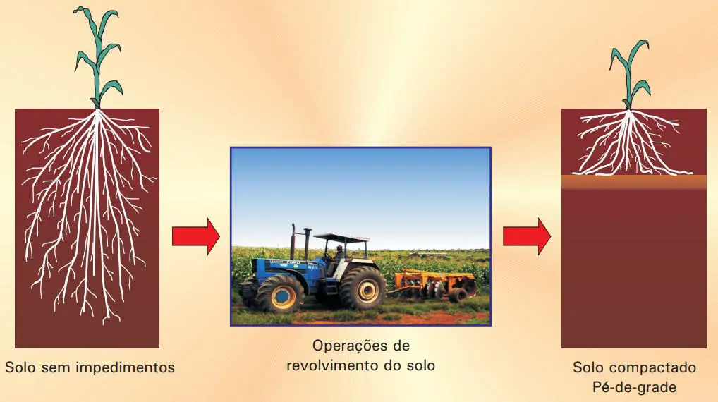 infográfico educacional que ilustra o processo de compactação do solo, especificamente a formação do ‘pé-de-gra