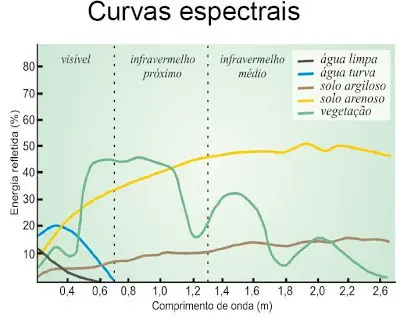 gráfico técnico intitulado ‘Curvas espectrais’, que ilustra o comportamento da reflectância de diferentes a