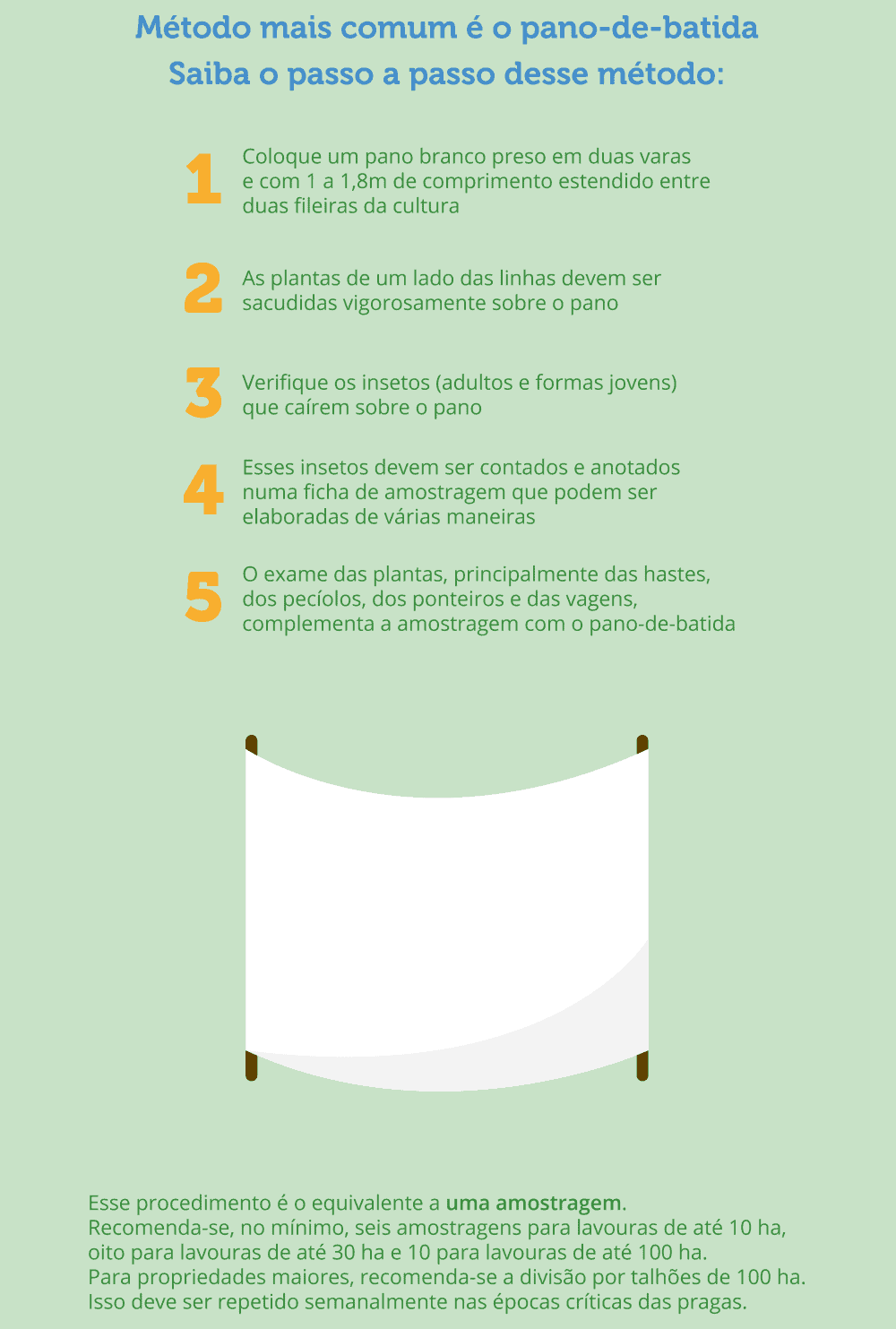 infográfico educativo que detalha o método do ‘pano-de-batida’, uma técnica comum para o monitoramento de praga