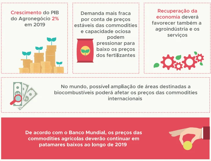 infográfico que resume as perspectivas econômicas para o agronegócio brasileiro em 2019. Dividida em seções, el