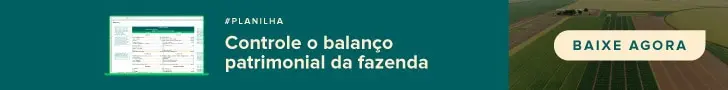 banner promocional digital, dividido em duas seções principais. À esquerda, sobre um fundo verde-azulado escuro