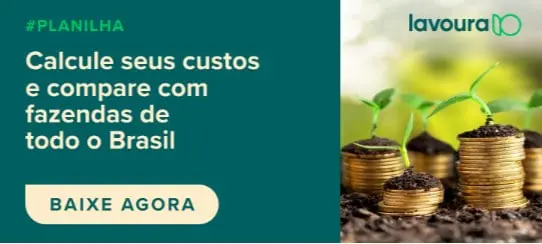 banner publicitário dividido em duas seções. À esquerda, sobre um fundo verde escuro, há um texto claro que con