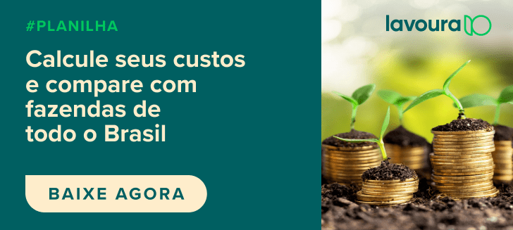 banner promocional com um design dividido. À esquerda, sobre um fundo verde-escuro, há um texto claro que convi