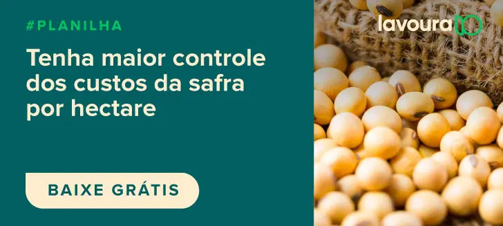 banner promocional dividido em duas seções. À esquerda, sobre um fundo verde-escuro, há um texto em branco que