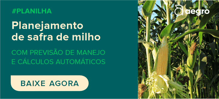 banner promocional dividido em duas seções. À esquerda, sobre um fundo verde escuro, há um texto claro que anun