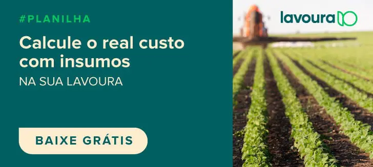 banner promocional com design dividido. À esquerda, sobre um fundo verde-escuro, há um texto claro que convida