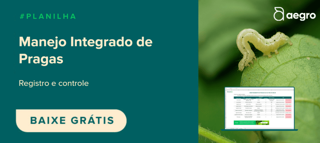 banner promocional da Aegro, dividido em duas seções. À esquerda, sobre um fundo verde escuro, destaca-se o tít