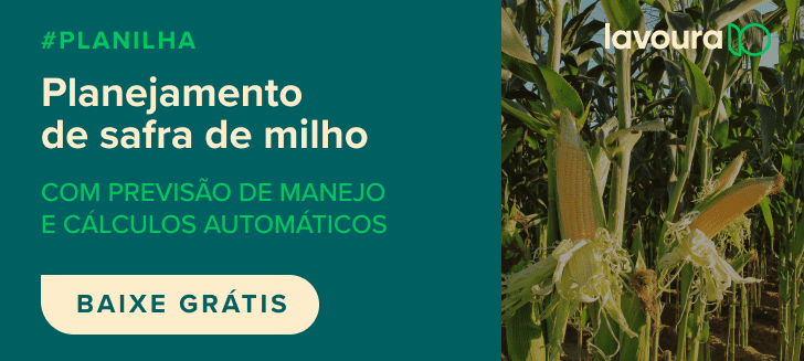 material de marketing digital, provavelmente para um blog ou rede social, dividido em duas seções. À esquerda,