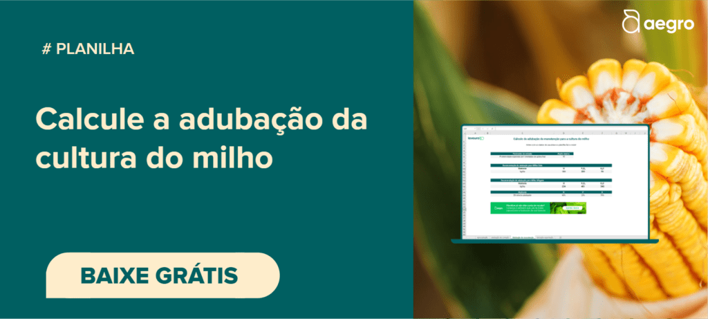 banner promocional visualmente dividido. O lado esquerdo, com um fundo verde-azulado sólido, apresenta o texto