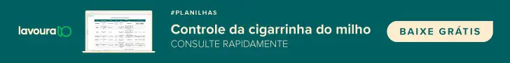 Banner promocional com fundo verde-azulado escuro, apresentando uma oferta de material gratuito. À esquerda, o logotipo ’lavo