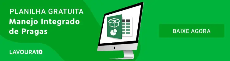 banner promocional digital com um fundo verde vibrante, projetado para capturar a atenção do público-alvo no se
