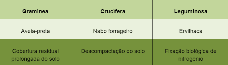 uma tabela comparativa com três colunas que categoriza diferentes tipos de plantas de cobertura utilizadas na