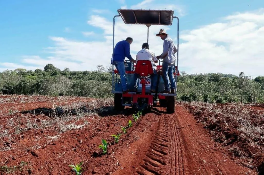três trabalhadores rurais em plena atividade de plantio mecanizado. Eles estão a bordo de uma pequena máquin