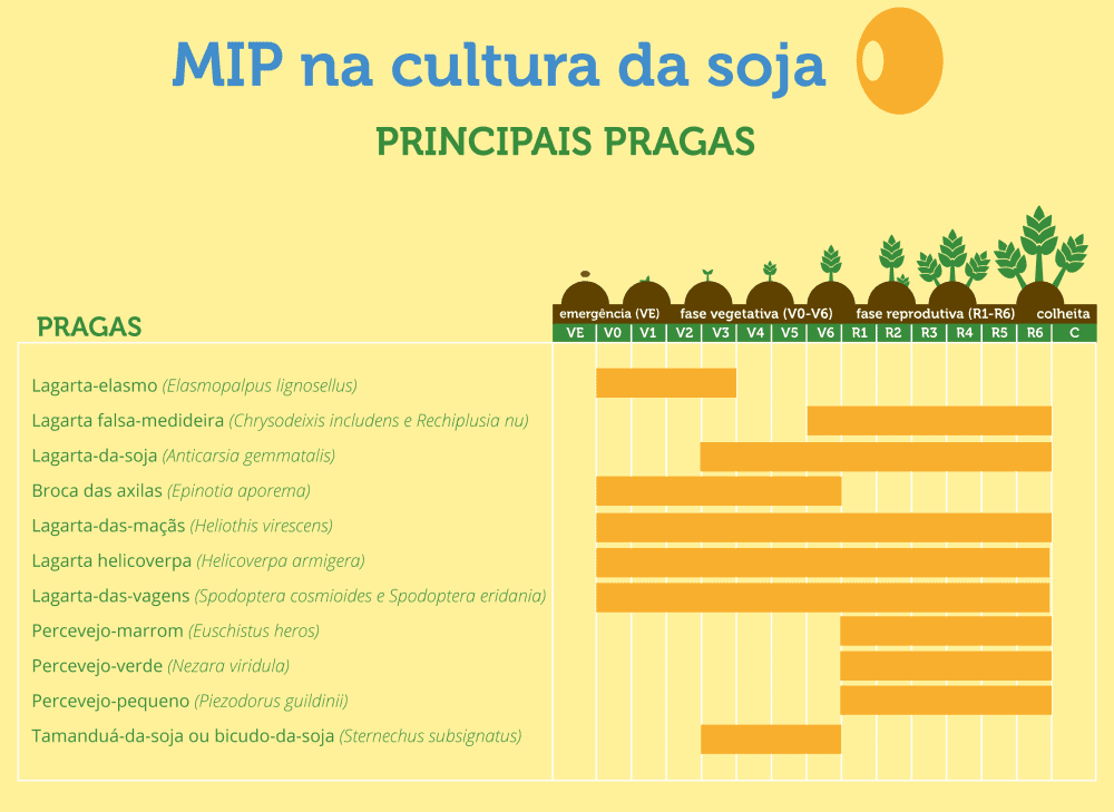 Este infográfico detalha o Manejo Integrado de Pragas (MIP) na cultura da soja, apresentando as principais pragas e os estági