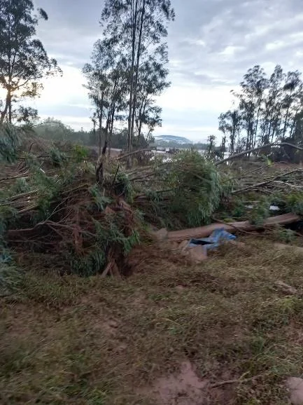 cenário de devastação em uma área rural, provavelmente após a passagem de uma forte tempestade ou ciclone