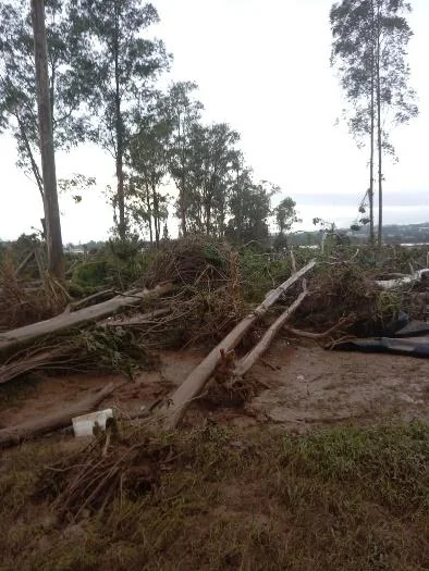cenário de devastação em uma área rural, provavelmente após a passagem de um evento climático extremo, co