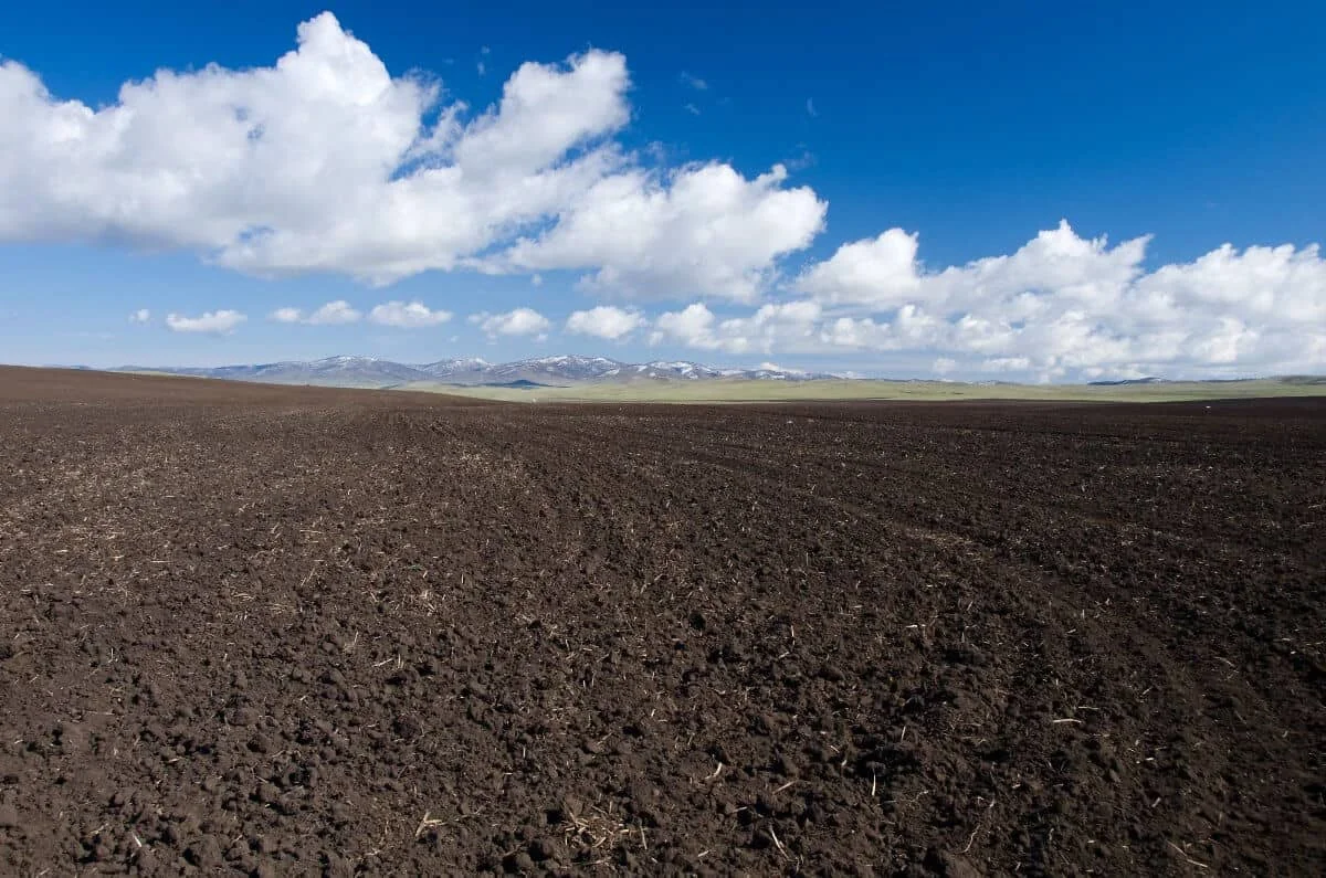 uma vasta extensão de terra agrícola recém-arada, pronta para o plantio. O solo escuro e fértil, revolvido em