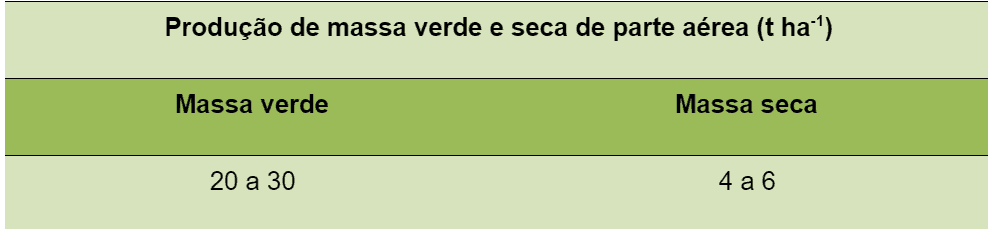uma tabela informativa com o título ‘Produção de massa verde e seca de parte aérea (t ha⁻¹)’, indicando a prod