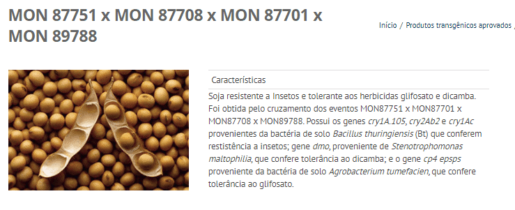 captura de tela de uma página web informativa sobre um produto agrícola transgênico. No lado esquerdo, há uma