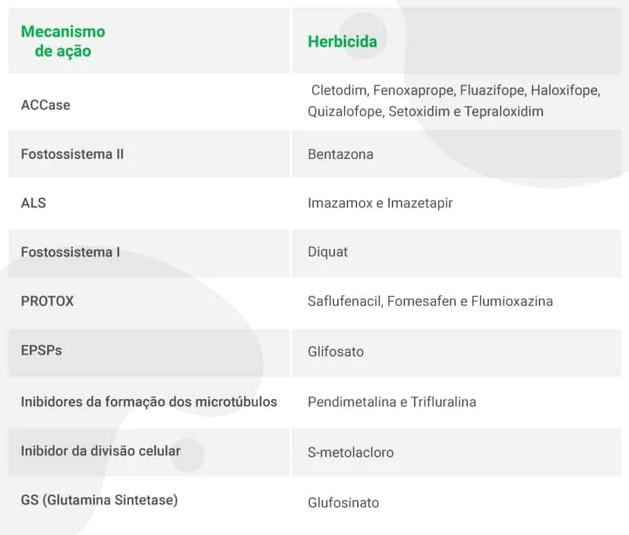 tabela informativa que classifica diferentes tipos de herbicidas com base em seus respectivos mecanism