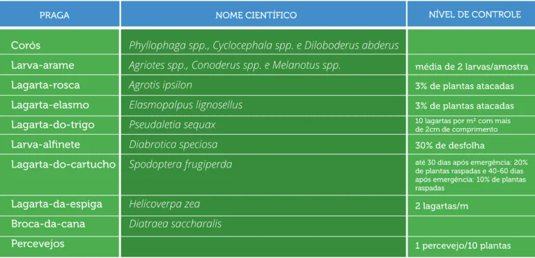 uma tabela informativa, em português, sobre o manejo de pragas agrícolas. A tabela é dividida em três colunas