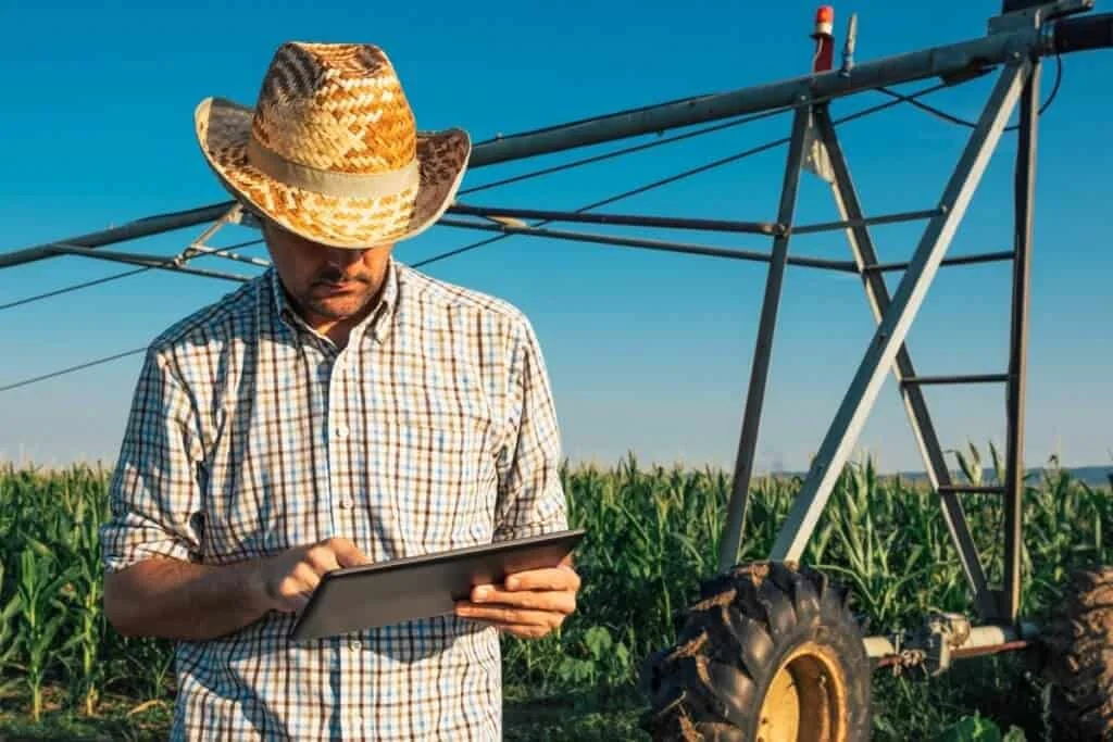 agricultor ou agrônomo moderno em meio a uma lavoura de milho, sob um céu azul e limpo. Vestindo uma cami